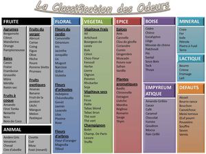 Les cépages et leurs arômes