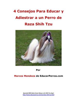 4 Consejos Para Educar y Adiestrar a un Perro de Raza Shih Tzu (1)