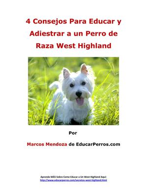 4 Consejos Para Educar y Adiestrar a un Perro de Raza West Highland