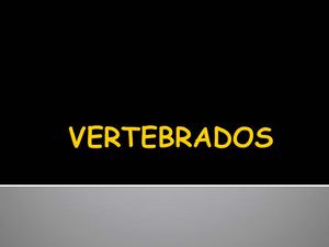 VISU VERTEBRADOS