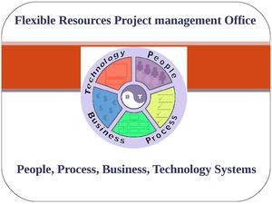 Program & Project Management (PMO)