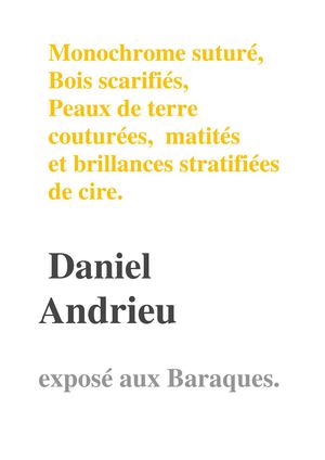 Daniel Andrieu, avant-première sur l'oeuvre