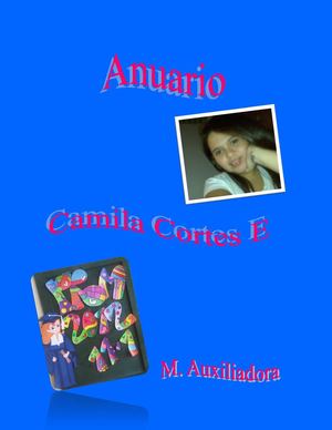 mi paso por el colegio