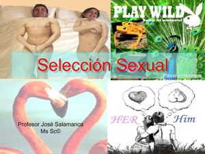 Selección Sexual