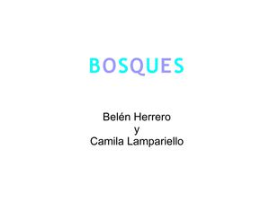 Bosques. Belén Herrero y Camila Lampariello
