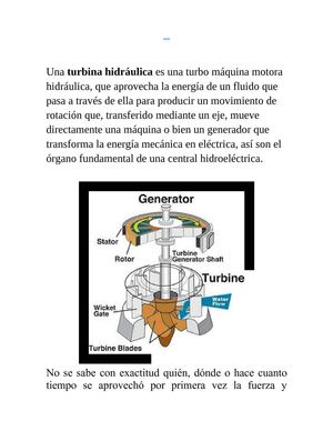 TURBINA HIDRAULICA WORD