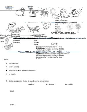 EVALUACIÓN CIENCIAS