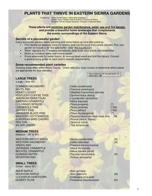 Plants That Thrive in Eastern Sierra Gardens