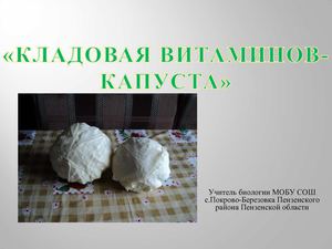 Презентация "Капуста"