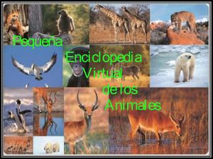 Pequeña Enciclopedia Virtual de los Animales