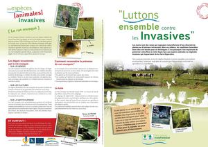 luttons contre les invasives