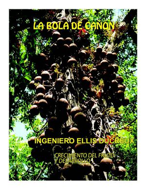 Ducree - La Bola de Cañon