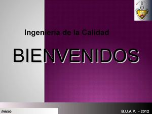 Syllabus Ingeniería Calidad