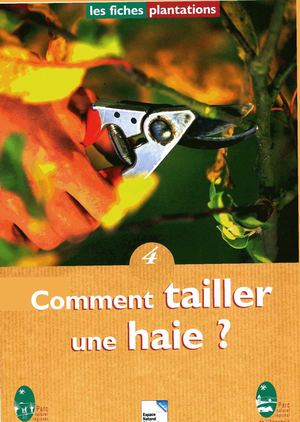 Comment tailler une haie ?