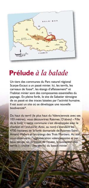 Sentier d'interprétation du site minier et forestier Sabatier - 2008