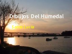 Dibujos del humedal en la actividad "Pintar" de la Xo