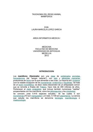 Taxonomia del reino animal: Los Mamiferos