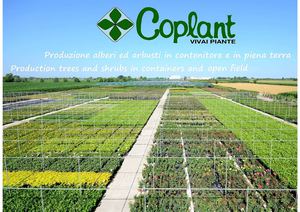 Catalogo prodotti Coplant Italiano - English