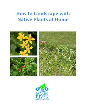 How to Landscape with Native Plants at Home - James River Association, Virginia
