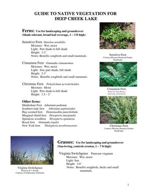 Guide To Native Vegetation For Deep Creek Lake - Marlyand