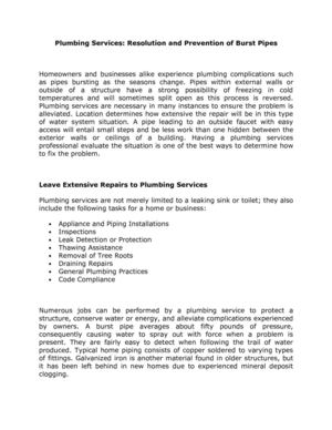 Plumbing Services: Resolution and Prevention of Burst Pipes