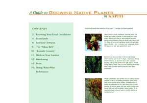 A Guide to Growing Native Plants in Kapiti, New Zealand