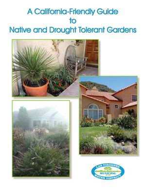A California-Friendly Guide to Native and Drought Tolerant Gardens
