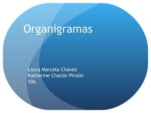 organizacion formal
