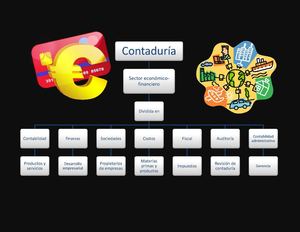 Ramas de la Contaduría Pública