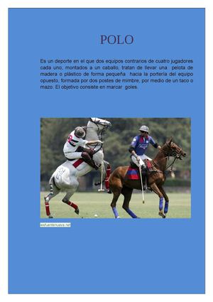 DEPORTE POLO 