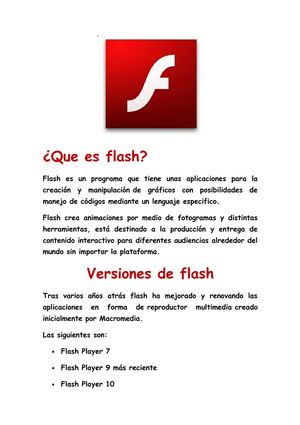 Que es flash