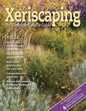 Xeriscaping: the Complete How to Guide - Albuquerque, New Mexico
