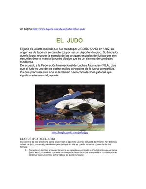 QUE ES EL JUDO ?