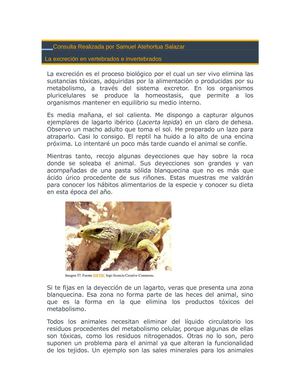 La excrecion de vertebrado e invertebrado