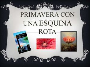 PRIMAVERA CON UNA ESQUINA ROTA