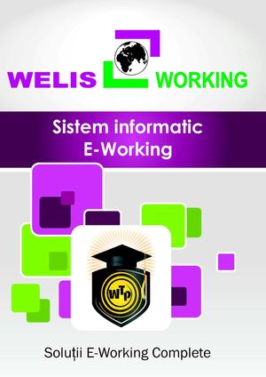 Prezentare WTP E-WORKING