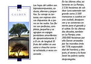 calden_hernan_jose_alejo_tomas