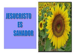 LA ENFERMEDAD FUE QUEBRANTADA EN LA CRUZ