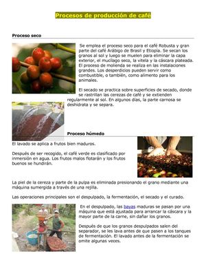 Procesos de producción del café