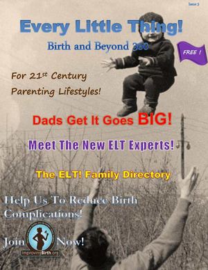 Every Little Thing Birth and Beyond 360 Magazine Vol.5