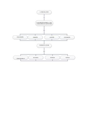 Mapa Conceptual (proceso lector)
