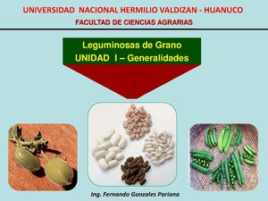 Leguminosas - Generalidades