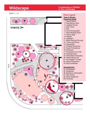 Wildscape: a Celebration of Wildlife in Your Landscape - Albuquerque, New Mexico