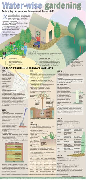 The Seven Principles of Xeriscape Gardening: Xeriscaping Can Wean Your Landscape Off the Wet Stuff