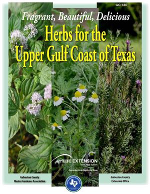 Herbs for the Upper Gulf Coast of Texas