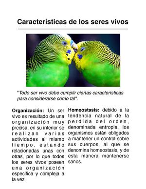Tema 1 y 2 PDF