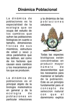 Tema 4, 5 y 6