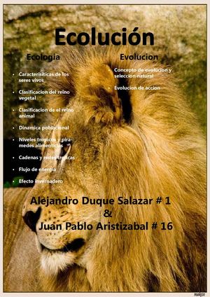 revista 