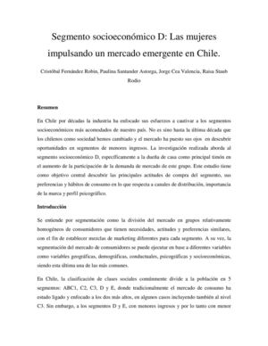 Segmento socioeconómico D: Las mujeres impulsando un mercado emergente en Chile.