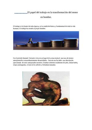 transformacion del mono al hombre